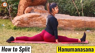 Hamstring Stretching Exercises in Hindi  How to do Leg Stretching at Home Flexible Legs Exercise [upl. by Darce]