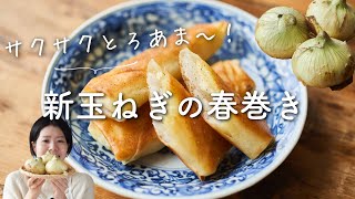 【少量油で！】新玉ねぎの春巻きのレシピ・作り方 [upl. by Allebram]