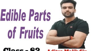 Edible parts of fruits  Class 82  Aditya Sir  Important For All Competitive Exams [upl. by Candace497]