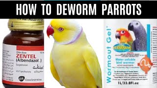 Deworming of my birds  Which dewormer is best Wormout Gel or Zentel  When amp how to Deworm Parrots [upl. by Cud]