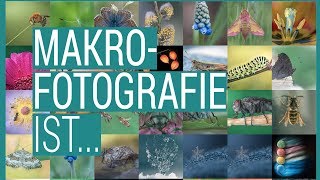 Was ist Makrofotografie [upl. by Pilar]