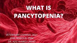 Pancytopenia  A Quick Review For The Veterinary Student [upl. by Koenig]