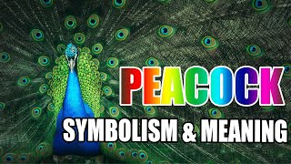 What Does a Peacock Symbolize  Sign Meaning [upl. by Nuzzi]