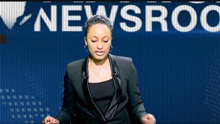 AFRICA NEWS ROOM  Afrique du Sud Des avancées dans la Lutte contre le paludisme 33 [upl. by Suiradel]