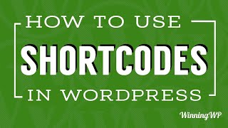 How To Use Shortcodes In WordPress [upl. by Aynwat]