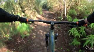 Picnic Table Trail mtb enduromountainbikedownhillmtb enduromtb mountainbiking [upl. by Annavoj]