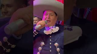 El cobarde josealfredojimenez elnietodelrey musica mariachi [upl. by Nnairak608]