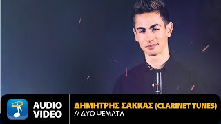 Δημήτρης Σακκάς  Δύο Ψέματα  Official Audio Video HQ [upl. by Acysej]