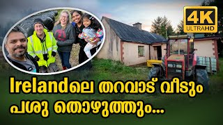 WE VISITED OUR NEIGHBOURHOOD PATS OLD HOUSE AND THEIR CATTLE FARM  IRELAND  Vlog 483 [upl. by Jehoash66]