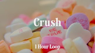 1시간  반복재생 Bella Poarch Lauv  Crush [upl. by Eimorej]