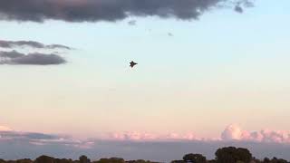 F22 Raptor going nuts at Oshkosh Air Show [upl. by Attiuqahs487]