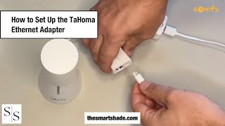 How to Set Up the TaHoma Ethernet Adapter  The Smart Shade [upl. by Enelloc]