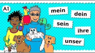 🐶 Deutsch A1 🐰 Possessivpronomen 🐦 mein  dein  sein  ihr  unser  euer etc Thema Haustiere 🐢 [upl. by Nosille244]