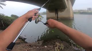 Blue Lagoon Fishing Umgeni River Mouth with Hard Baits [upl. by Ligetti611]