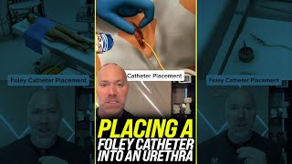 Placing a Foley Catheter in the Urethra 👨‍⚕️ shorts [upl. by Engdahl]