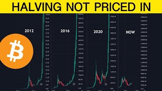 Here’s Why the Bitcoin Halving Is NOT Priced In [upl. by Genie]