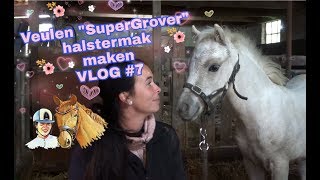 🦄 PAARDENVLOG 7  Hoe maak je een veulen halstermak  Daniëlla van der Werf [upl. by Shirlee335]