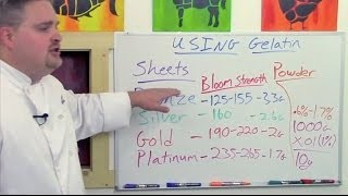 Understanding Gelatin Sheets V Powder Pt 1 of 3 [upl. by Carlisle26]