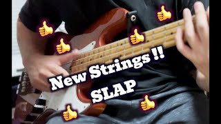 Slap BASS  Night Rhythms  New Strings Sound Test slapbass leeritenour bassguitar [upl. by Setarcos]