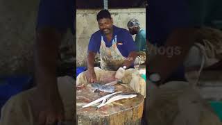 Kasimedu Speed Selvam Ribbon Fish Cutting  Selvam Fish Cutting Skills  Vendum Vlogs [upl. by Irmo]