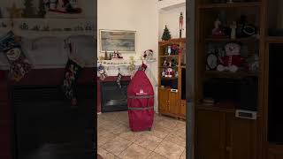 Balsam Hill Christmas Tree Unboxing [upl. by Venditti207]