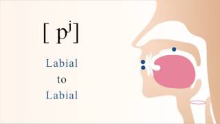 pʲ  unvoiced unaspirated palatalized bilabial stop [upl. by Nnyroc693]