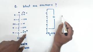 What are anomers give example Class 12 Biomolecule anomerismcyclic structure of glucose [upl. by Mikael735]