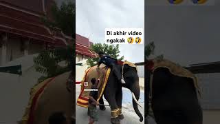 Diakhir video sumpah ngakak 🤣🤣 shorts [upl. by Beka]