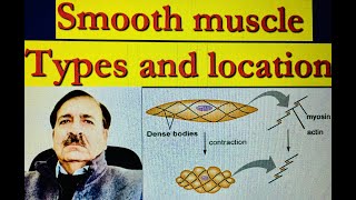 Smooth muscle Location Types Phasic and tonic contraction  Lectures by Dr Alamzeb [upl. by Eelirol709]