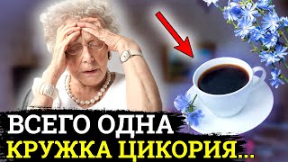 ЧТО Творит ЦИКОРИЙ если пить его ежедневно [upl. by Finella]