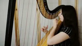 Muse  Plug In Baby  Amy Turk harp [upl. by Warde]