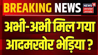 Bahraich Bhediya Attack News अभीअभी मिल गया आदमखोर भेड़िया   Wolf  Breaking News  Uttar Pradesh [upl. by Murtha477]