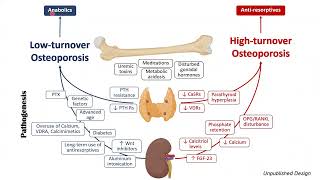 Management of Osteoporosis in CKD [upl. by Icnan]