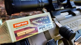 Norma Whitetail 308  100 Yard Group Test  Custom Rem 700 [upl. by Neeruan874]