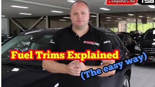 Fuel trims explained the easy way [upl. by Ecinereb14]