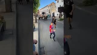 CARRERA DE ESTOS TOROS DE JOSÉ ESCOLAR EN PERALES DE TAJUÑA torospopulares toros shrots [upl. by Assilac]