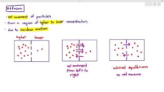 A Level Biology Revision Year 13 quotSynaptic Transmissionquot [upl. by Petrine]