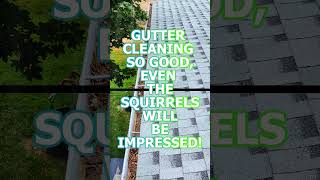 🐿️ YOUR GUTTERS WILL LOVE US 🏡🌐 🚀 VGRCLLCcom📲 5095301330 ☔💧🌧 quotWE FLAT LINE THE GUNKquot 🧼 [upl. by Aidnyl456]