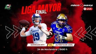 MÁXIMO AVANCE EN VIVO BORREGOS MONTERREY vs AUTÉNTICOS TIGRES  Liga Mayor FINAL ONEFA [upl. by Ecille667]