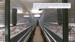 Park Comfort colony housing system for meat rabbits [upl. by Belac144]