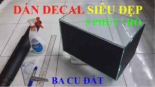 Chia Sẽ Kinh Nghiệm  Dán Decal Hồ Kính Thật Dễ Dàng  Ba Cu Đất [upl. by Upton]