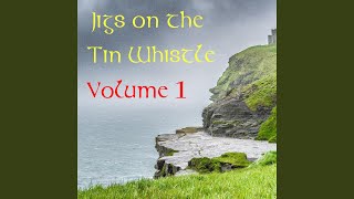 Morrisons Jig  Tin Whistle  Folk Tune  Play Along Tab Tutorial [upl. by Eniluqaj747]