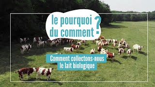 Le pourquoi du comment  Collecte de lait Bio [upl. by Gomar]