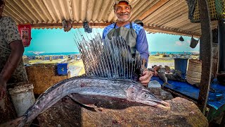 Sailfish Can Swim at the Speed of 109 Km  Indo Pacific 5kg Sailfish Fastest Fish Cutting Skills [upl. by Braeunig]