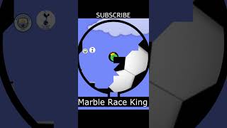 Tottenham vs Manchester City marble race tottenhamvsmanchestercity [upl. by Nwahsor]