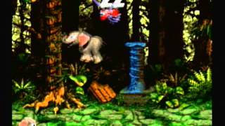 Lets Play Donkey Kong Country 3  13 Lost in a World of New Challenges [upl. by Hadik498]