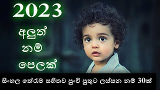 Babata namak  Sinhala Baby Boy Names with Meaning  2023 Sinhala New Name  Latest baby names [upl. by Wyck947]