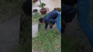 Remove Weed Clog Culvert Drain On Street Road culvert unclog satisfying shorts [upl. by Coben229]