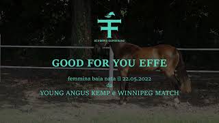 GOOD FOR YOU EFFE  Private Sale Scuderia Gardesana [upl. by Naihr]