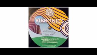 Vibronics  Samsara Ep  12quot  Cubiculo Records [upl. by Attennod]